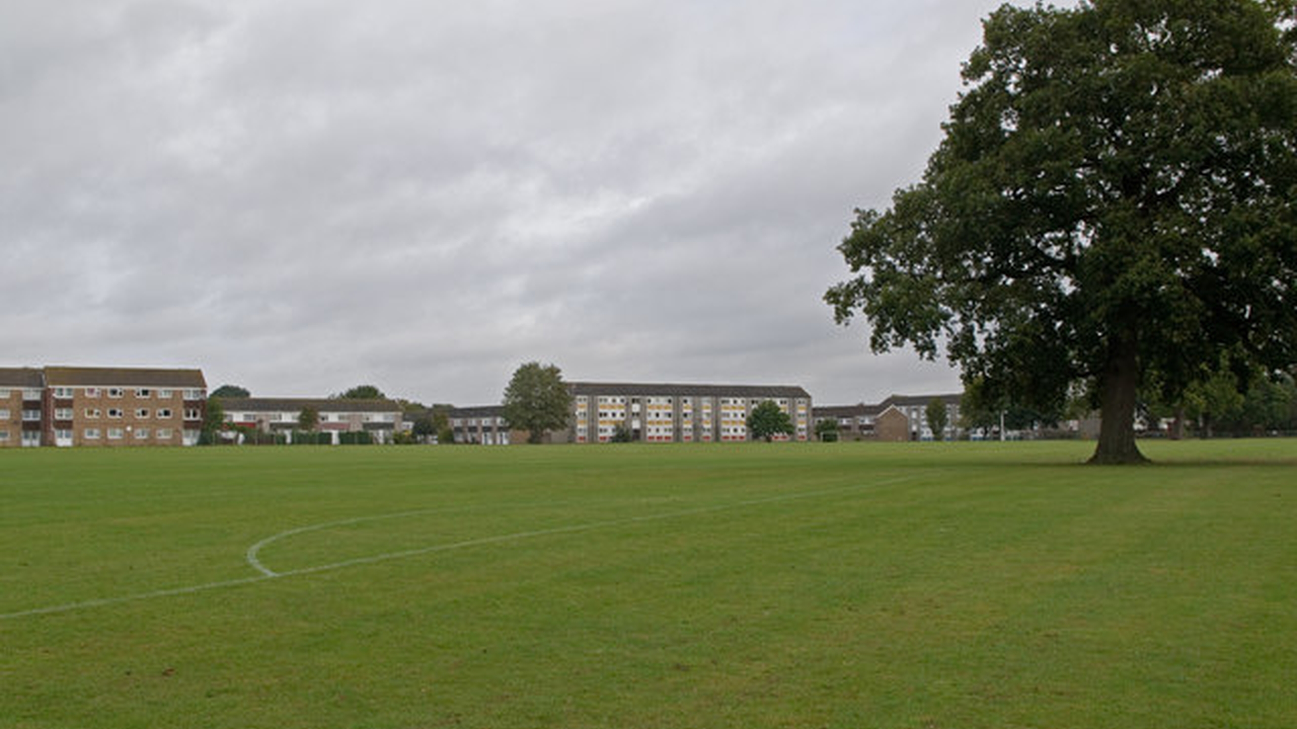 A hotograph of Court Lodge Playing Fields, Horley. It is a large expanse of green grass, with some low buildings lining the horizon. To the right of the frame is a mature tree in full leaf.